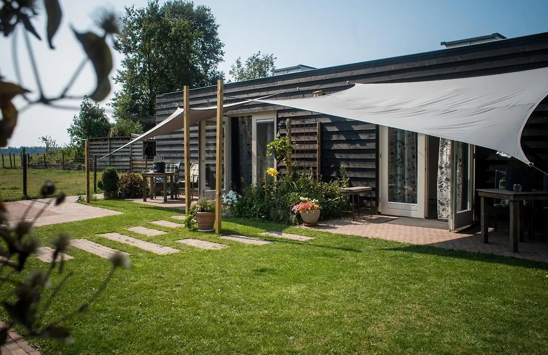 B&B de Ster van Dwingeloo-1