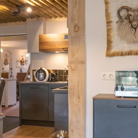 B&B de Ster van Dwingeloo-2