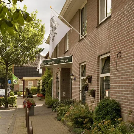 B&B de Ster van Dwingeloo-3